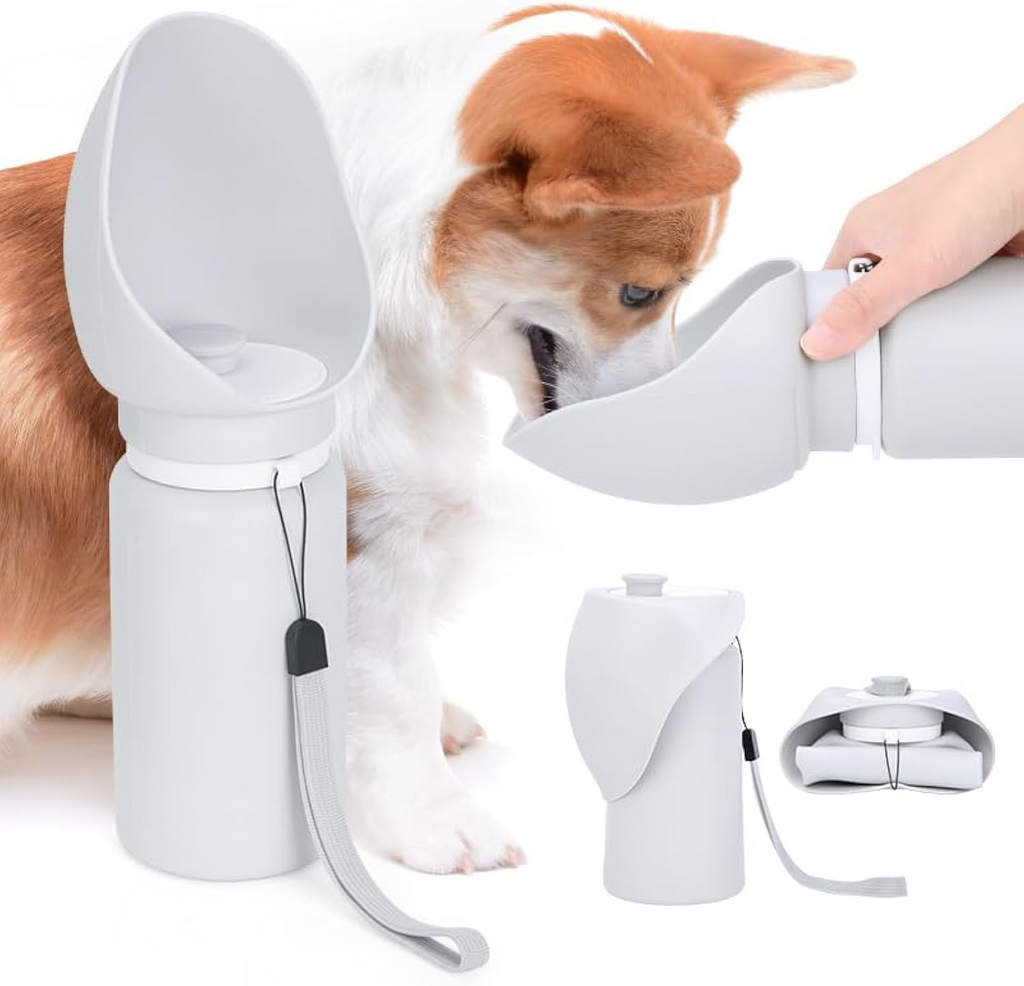 Portable Dog Travel Kit | Foldable Bowl & Treat Container