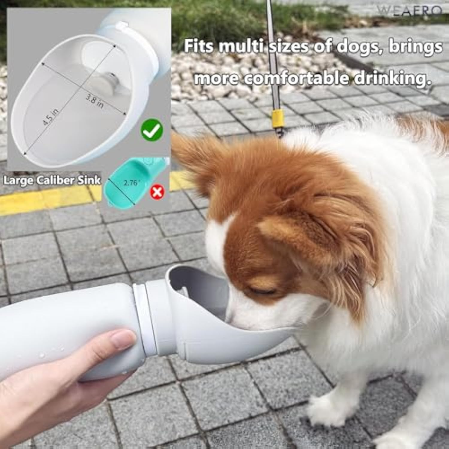 Portable Dog Travel Kit | Foldable Bowl & Treat Container